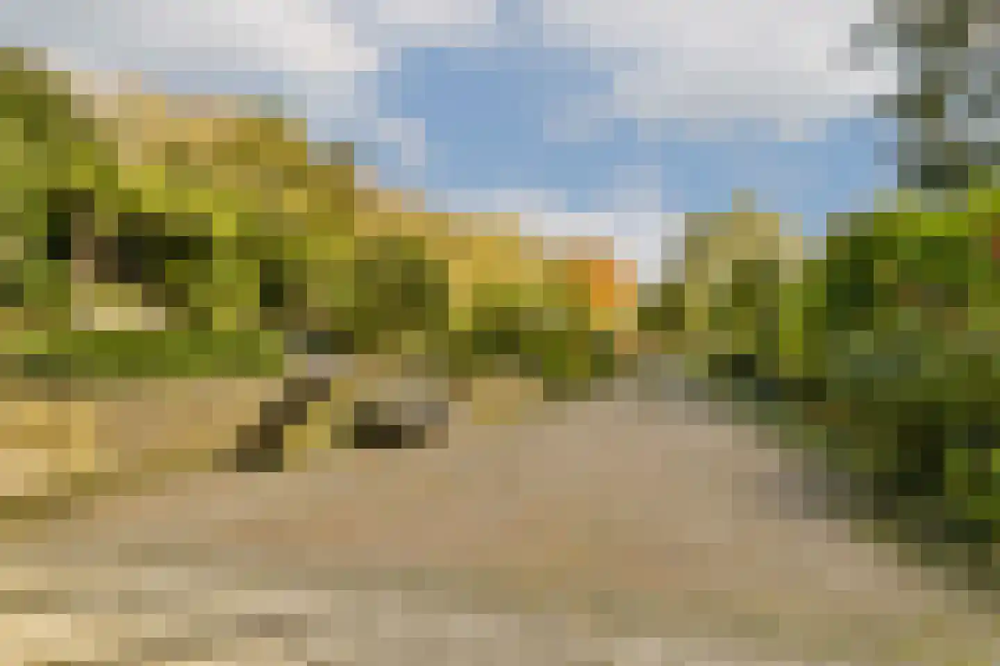 Charloisse Lagedijk 904 Rotterdam thumbnail 30