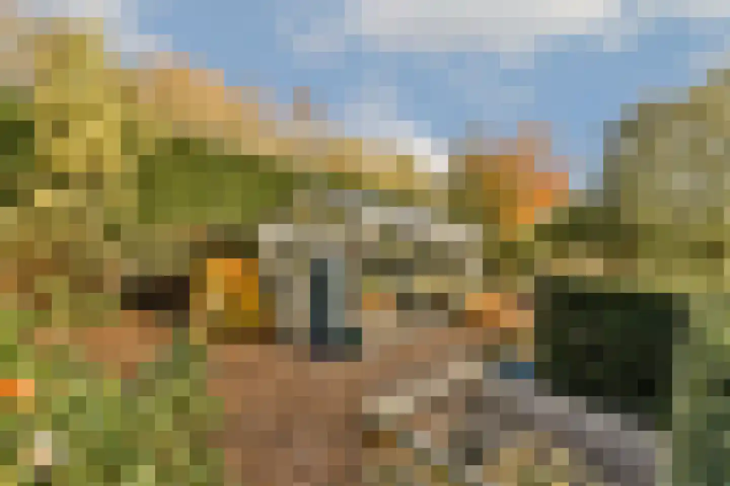 Charloisse Lagedijk 904 Rotterdam thumbnail 32