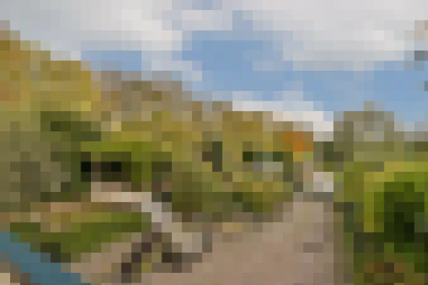 Charloisse Lagedijk 904 Rotterdam thumbnail 33