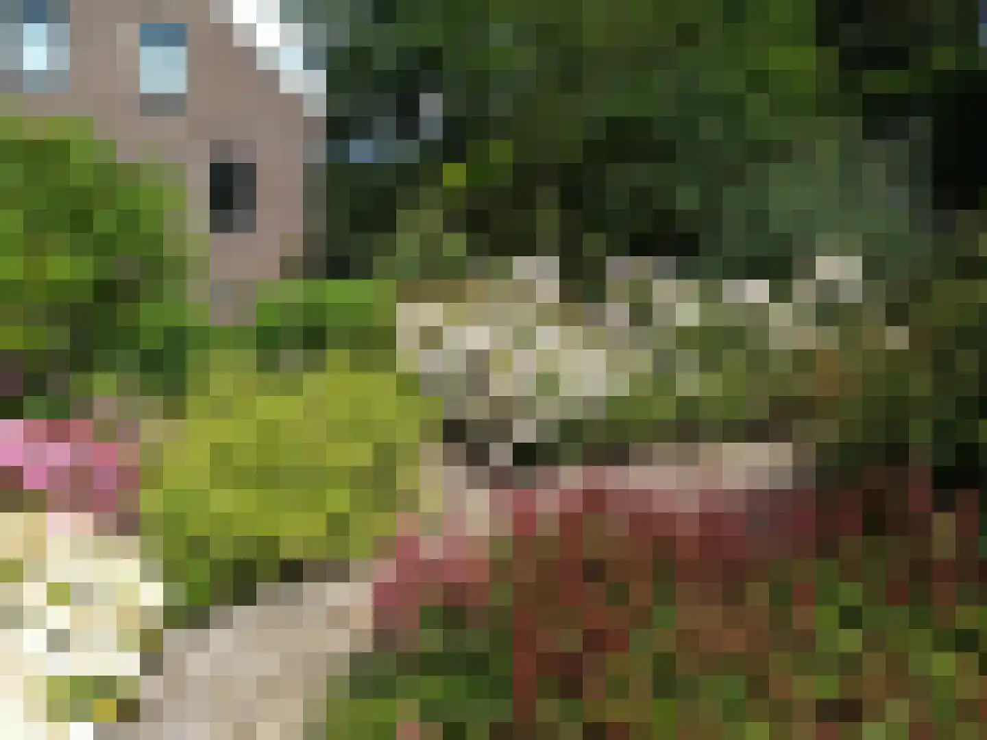 Charloisse Lagedijk 904 Rotterdam thumbnail 39