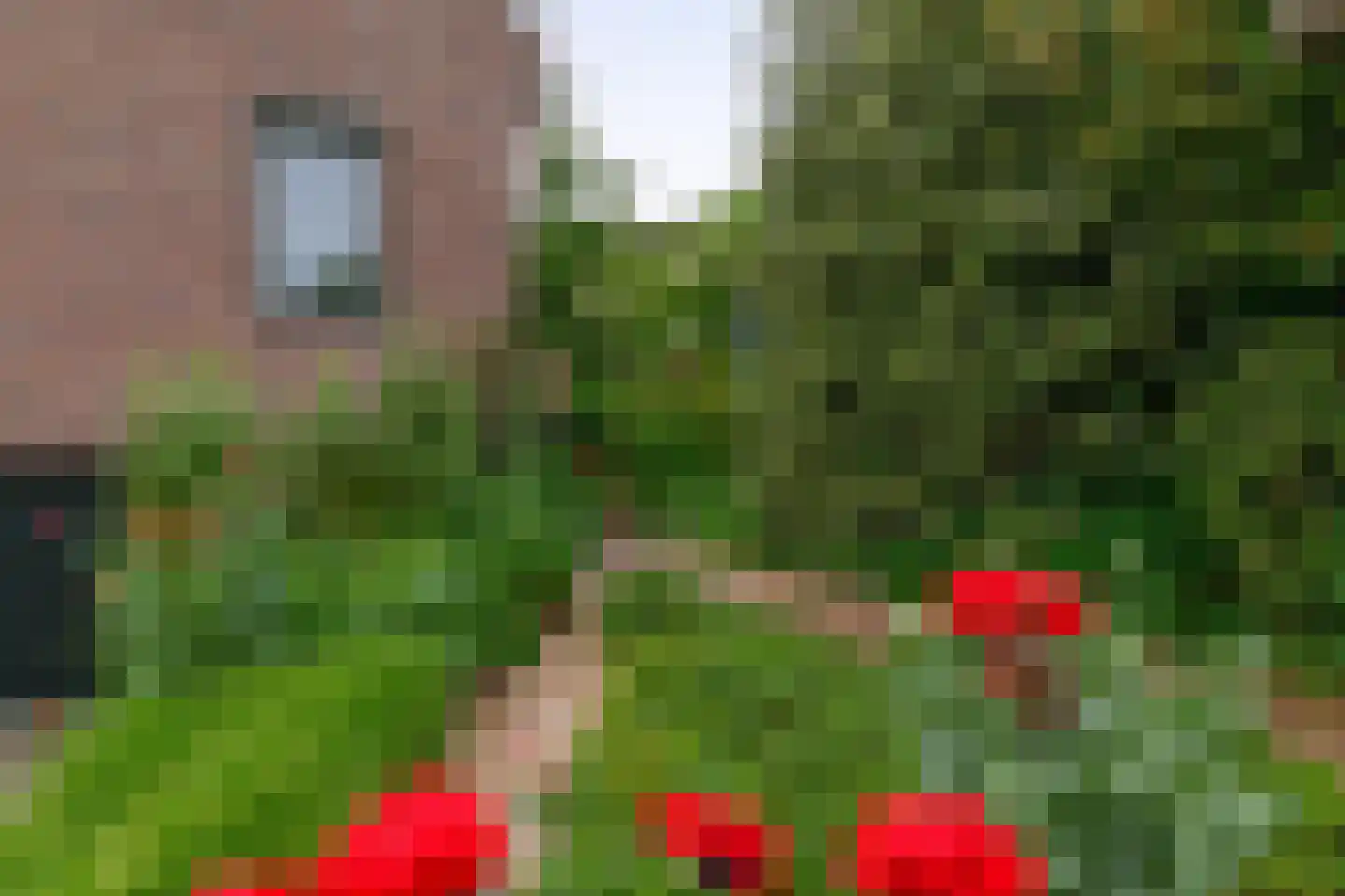 Charloisse Lagedijk 904 Rotterdam thumbnail 39