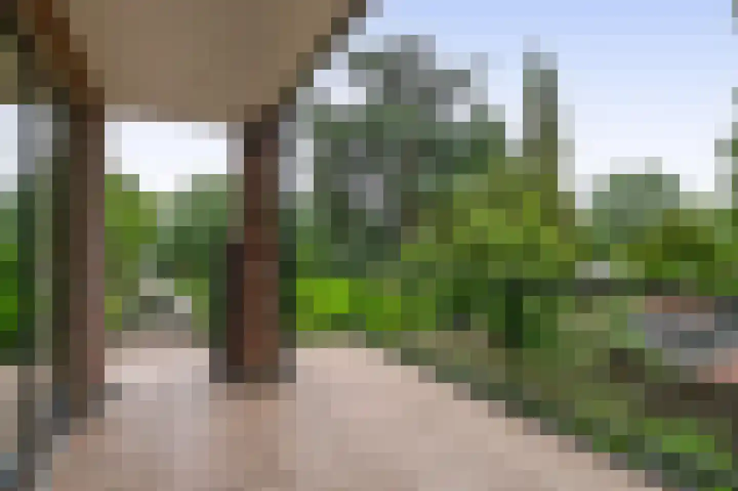 Charloisse Lagedijk 904 Rotterdam thumbnail 6