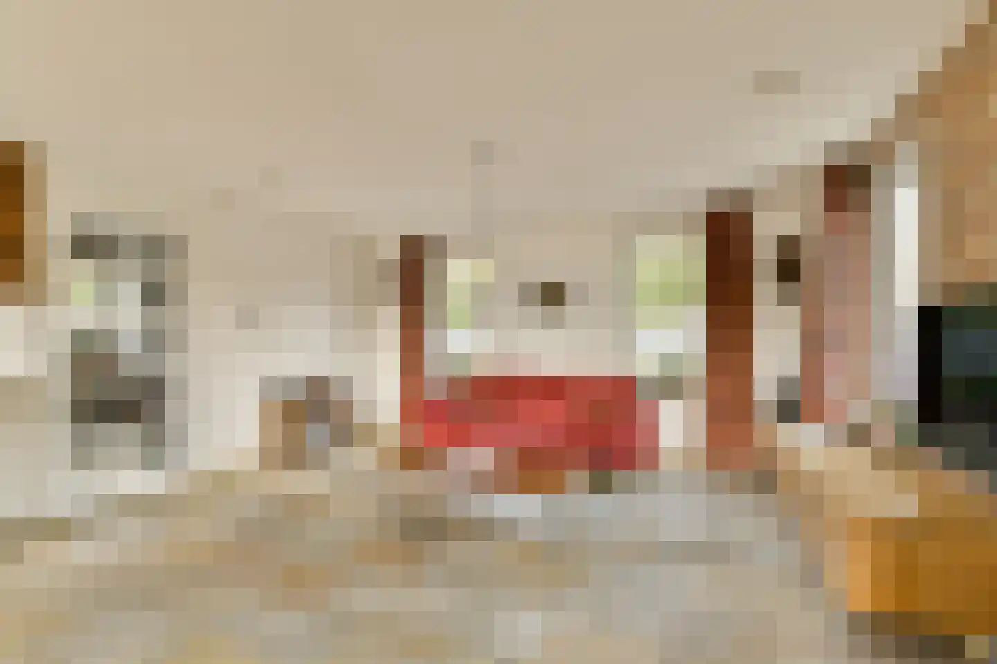 Charloisse Lagedijk 904 Rotterdam thumbnail 8