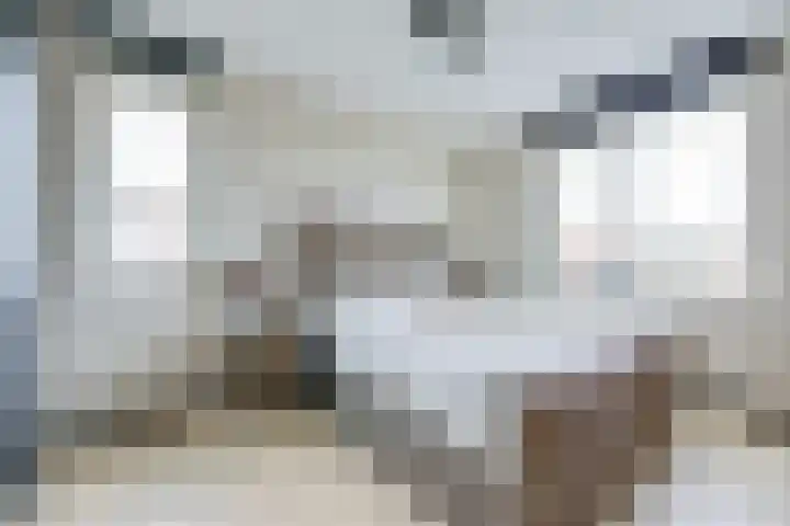 Charlotta Frölichhof 18 Almere thumbnail 16