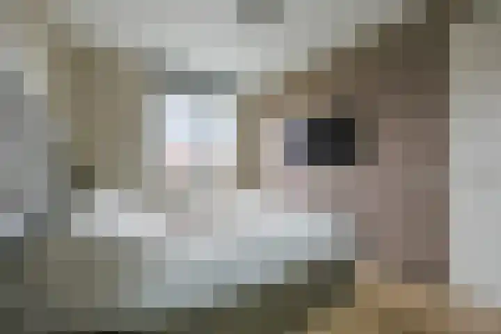 Charlotta Frölichhof 18 Almere thumbnail 17