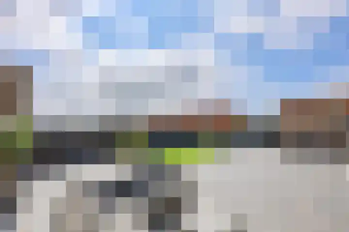 Charlotta Frölichhof 18 Almere thumbnail 31