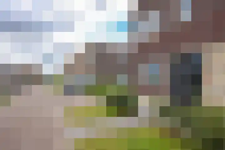 Charlotta Frölichhof 18 Almere thumbnail 37