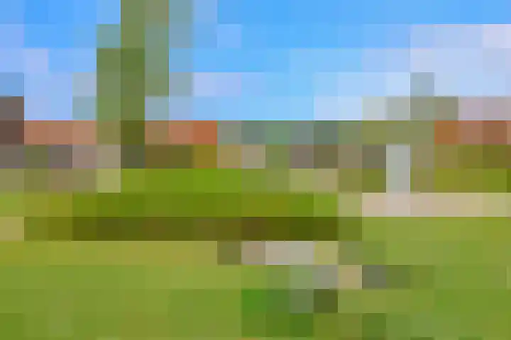 Charlotta Frölichhof 18 Almere thumbnail 38