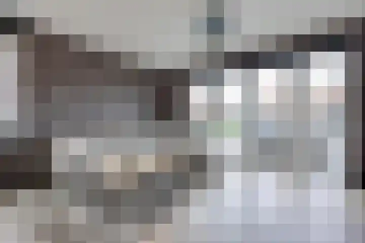 Charlotta Frölichhof 18 Almere thumbnail 5