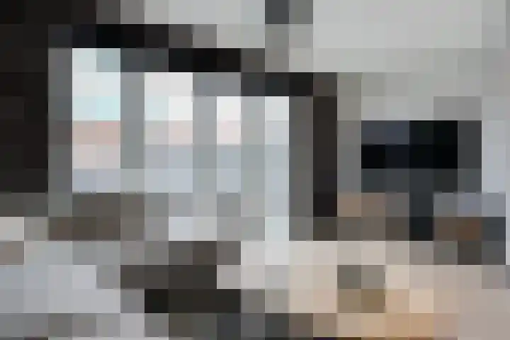 Charlotta Frölichhof 18 Almere thumbnail 6