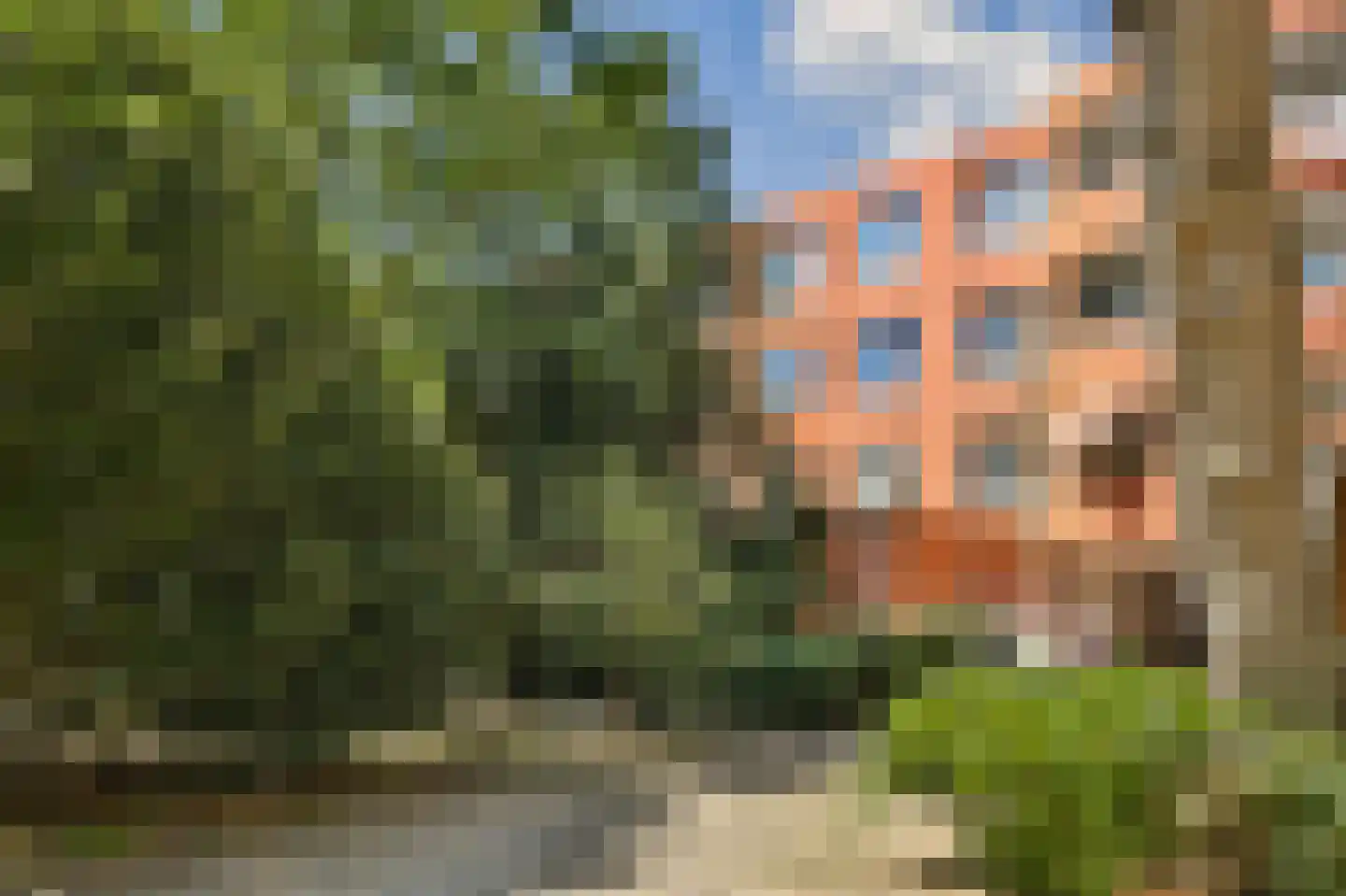 Charlotte Brontéstraat 16 Amsterdam thumbnail 22