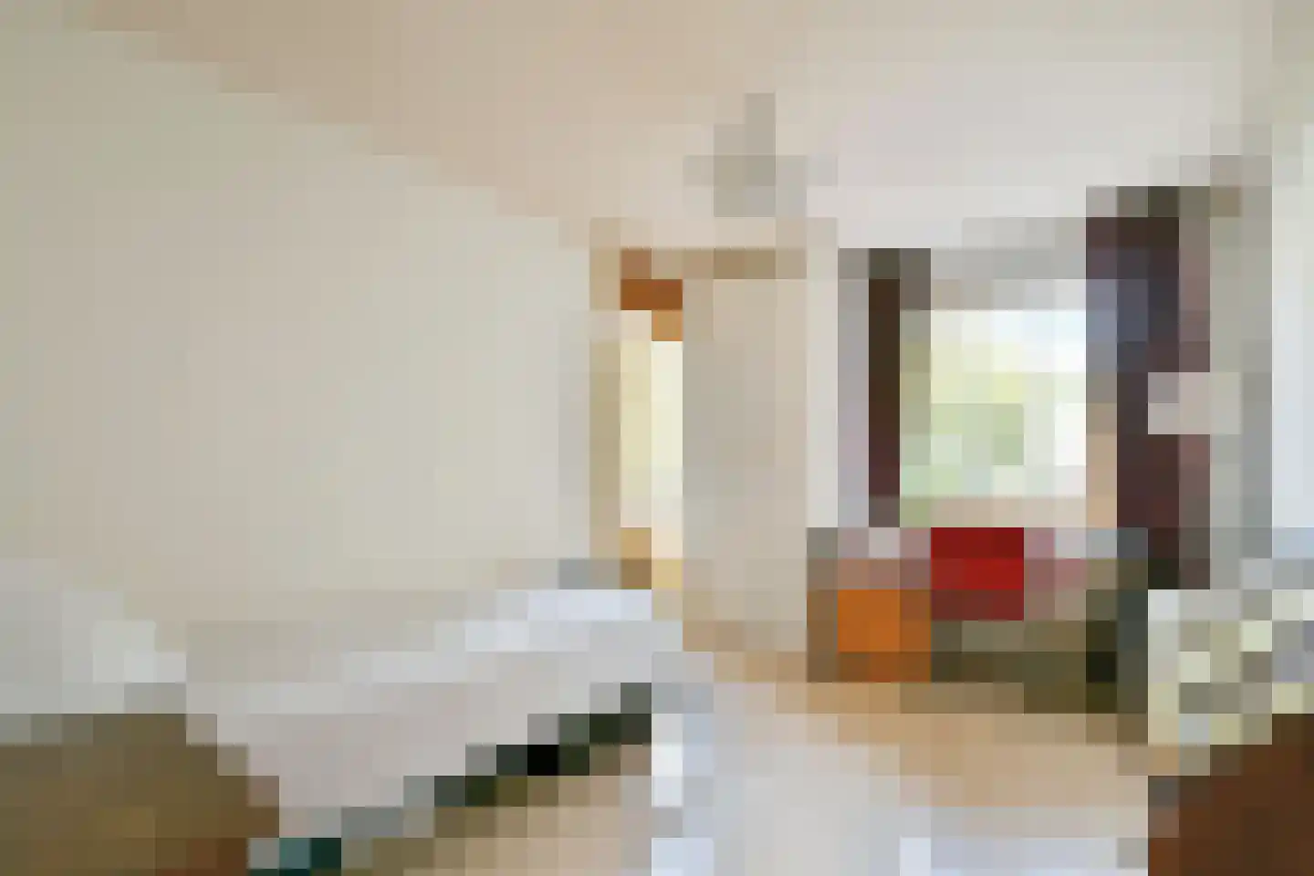 Charlotte Brontéstraat 209 Amsterdam thumbnail 19