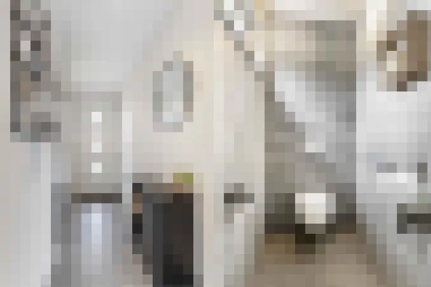 Charlotte Bühlerweg 61 Almere thumbnail 8