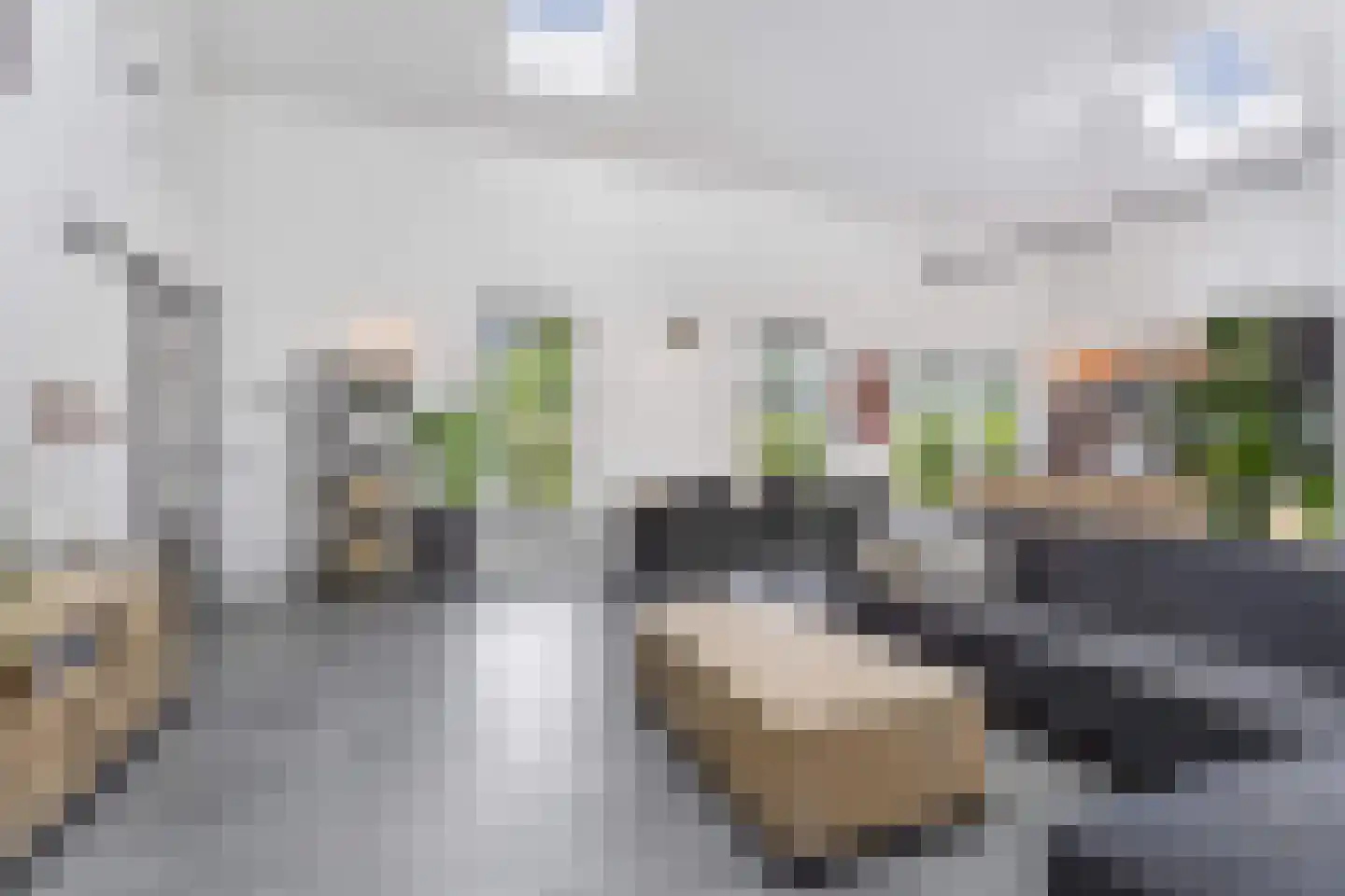 Charlotte Bühlerweg 61 Almere thumbnail 16