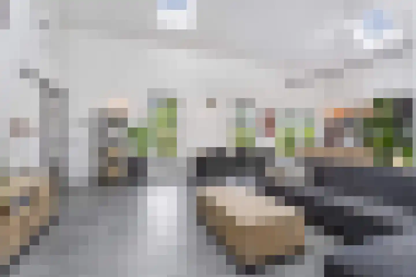 Charlotte Bühlerweg 61 Almere thumbnail 13
