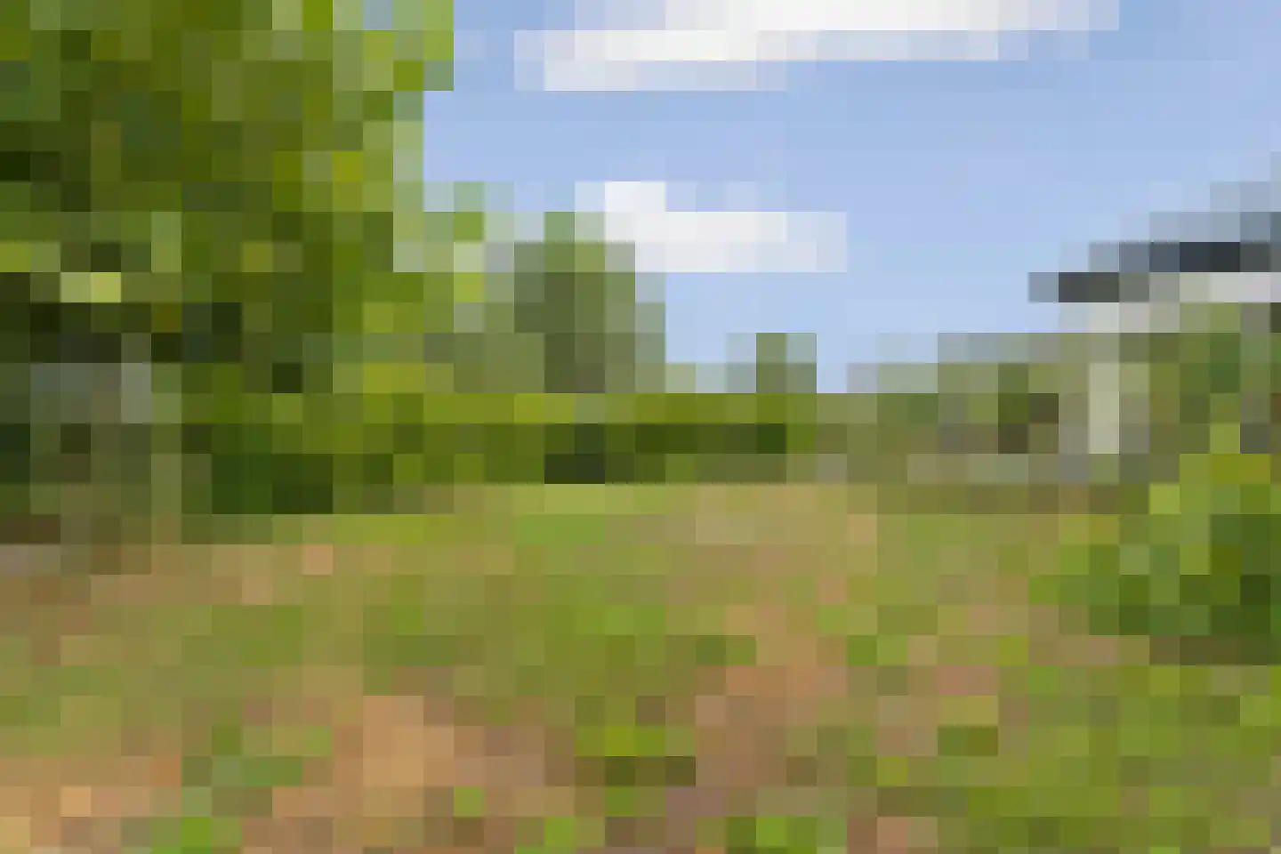 Charlotte Bühlerweg 61 Almere thumbnail 63