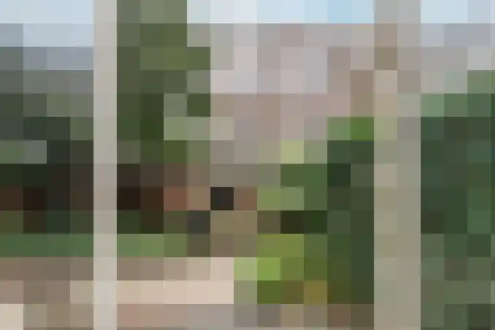 Charlotte de Bourbonlaan 13 A Rotterdam thumbnail 11
