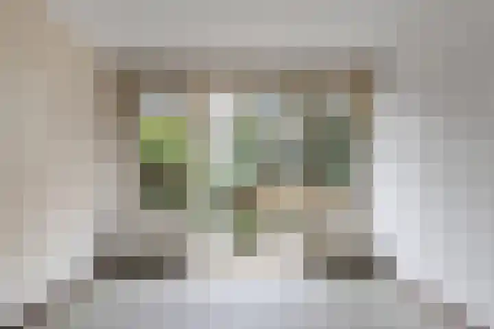 Charlotte de Bourbonlaan 13 A Rotterdam thumbnail 16