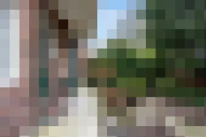 Charlotte de Bourbonlaan 13 A Rotterdam thumbnail 22
