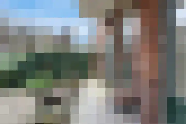 Charlotte de Bourbonlaan 13 A Rotterdam thumbnail 23