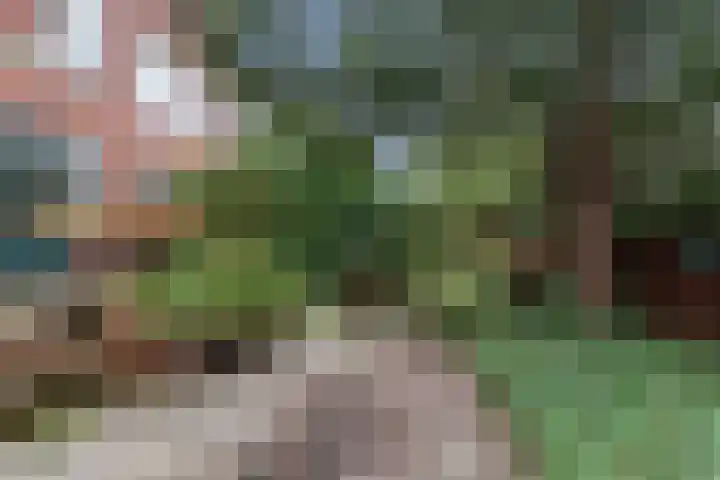 Charlotte de Bourbonlaan 13 A Rotterdam thumbnail 24