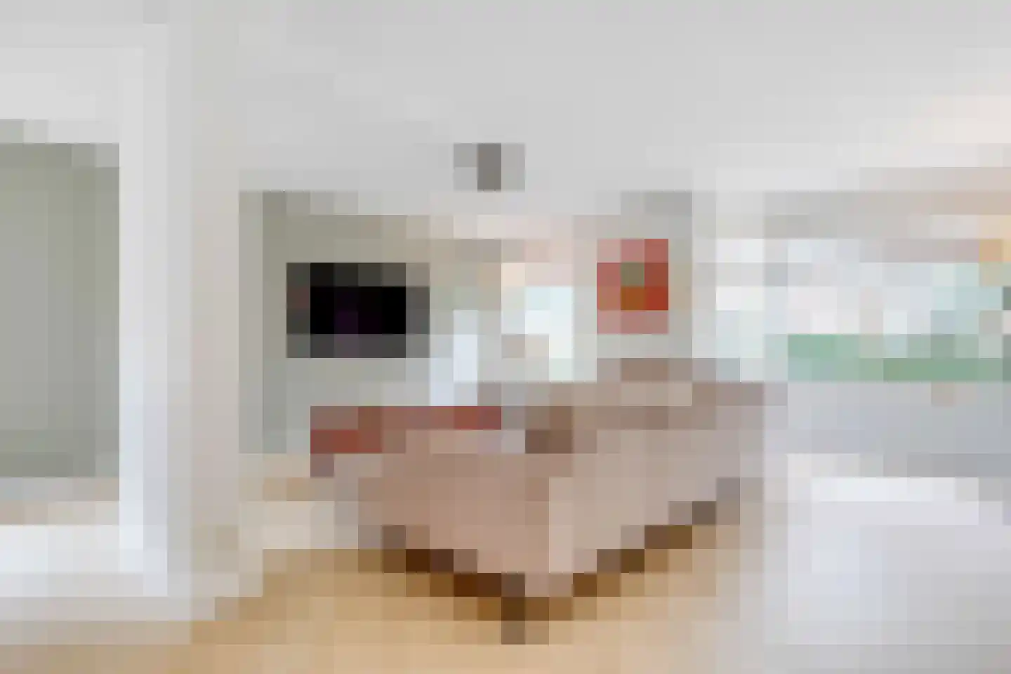 Charlotte de Bourbonlaan 14 Zeist thumbnail 10