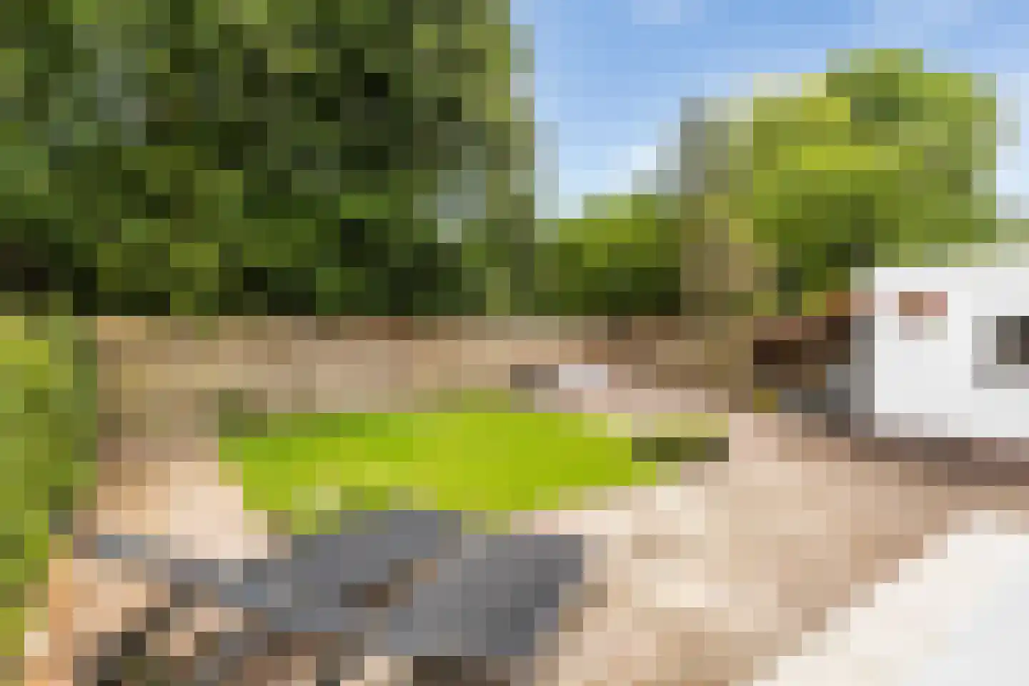 Charlotte de Bourbonlaan 14 Zeist thumbnail 29