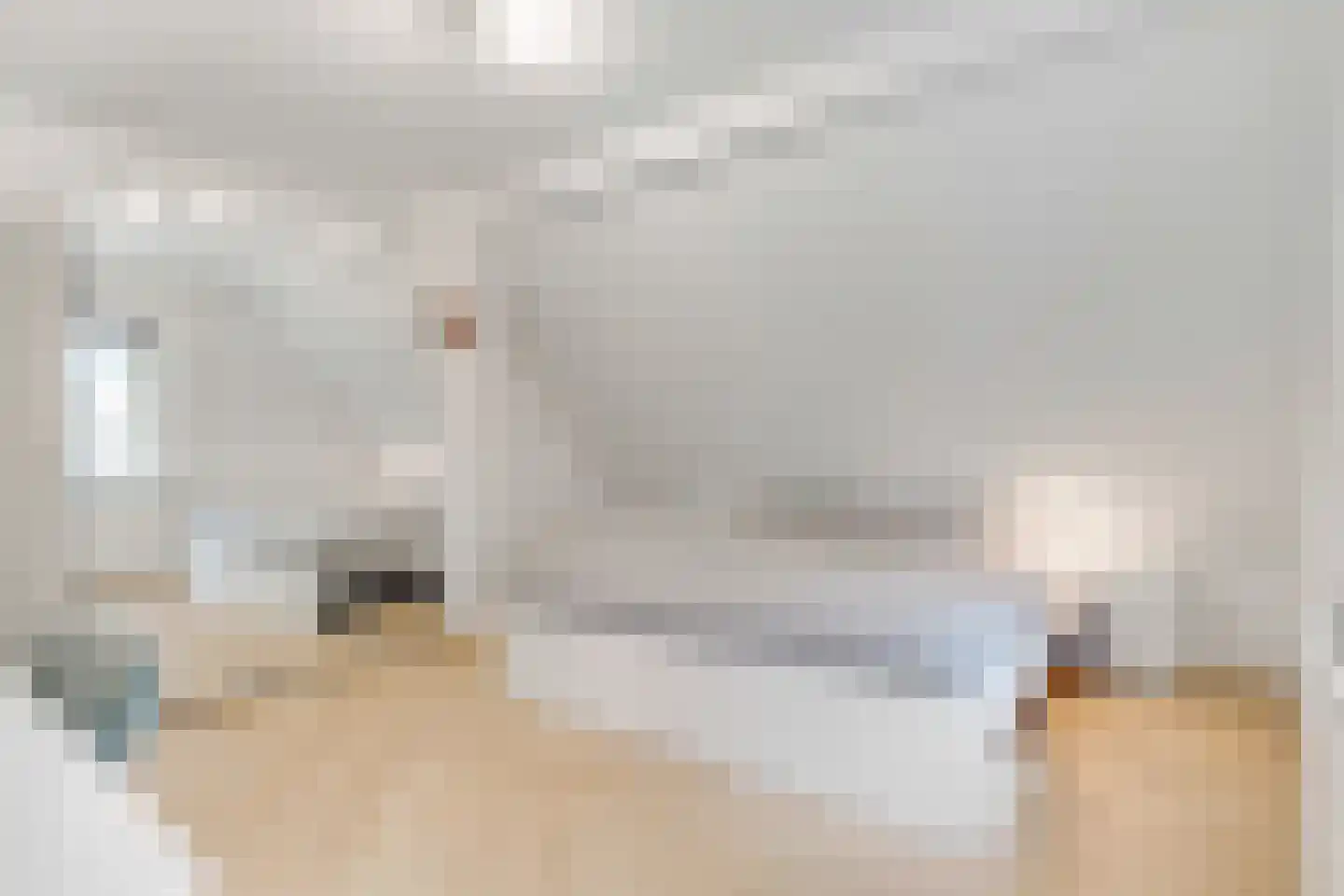 Charlotte de Bourbonlaan 14 Zeist thumbnail 45