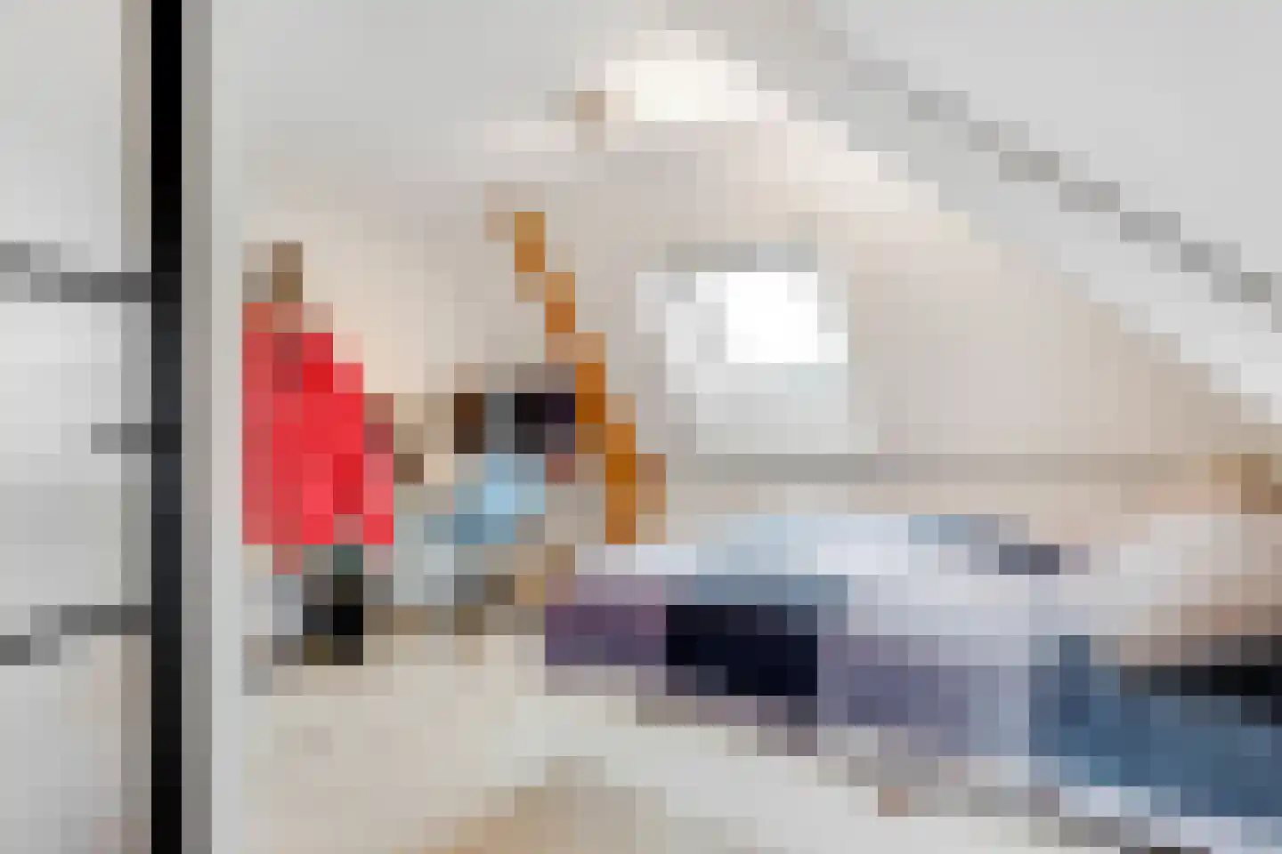 Charlotte de Bourbonlaan 14 Zeist thumbnail 52
