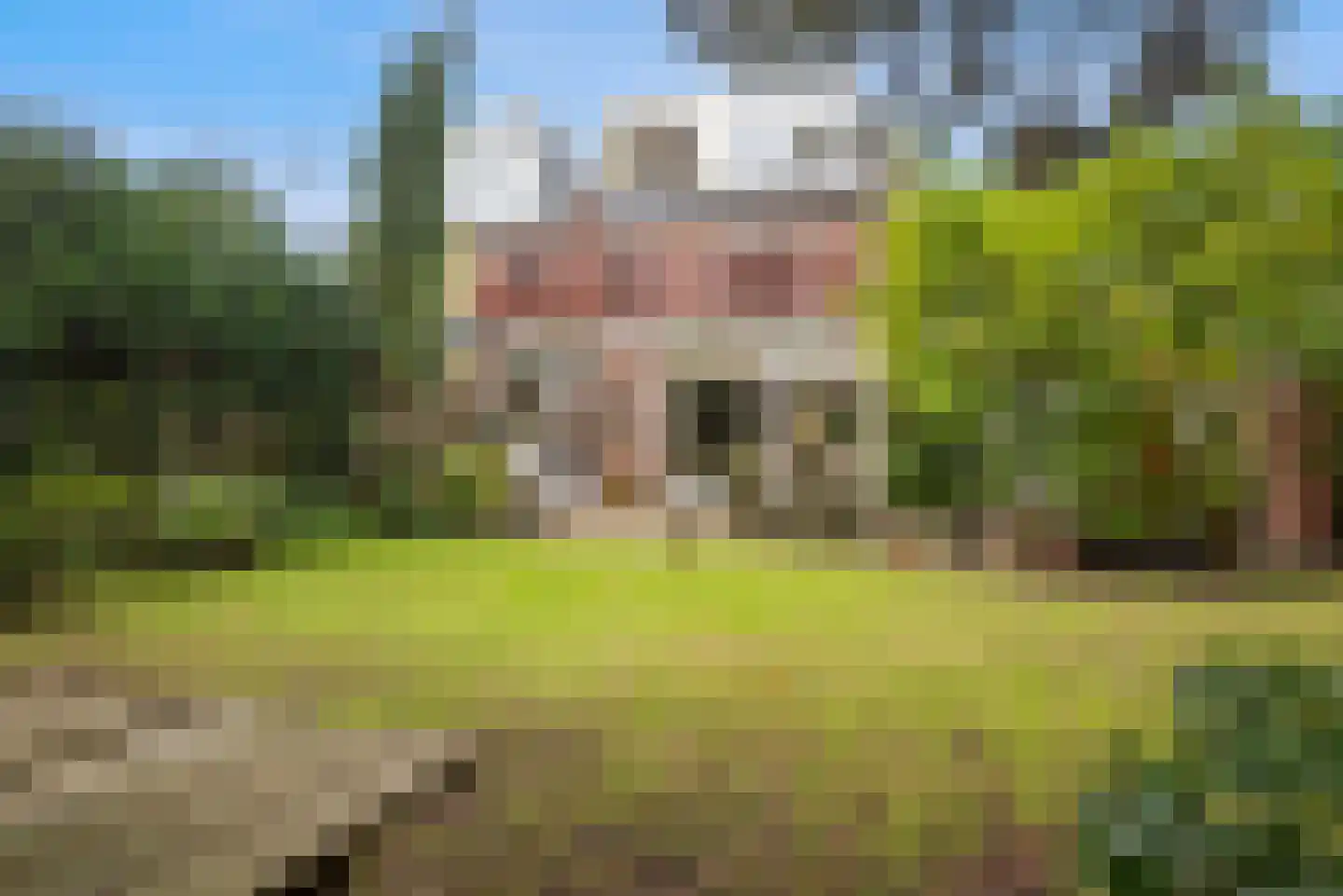 Charlotte de Bourbonlaan 17 Santpoort-Zuid thumbnail 4