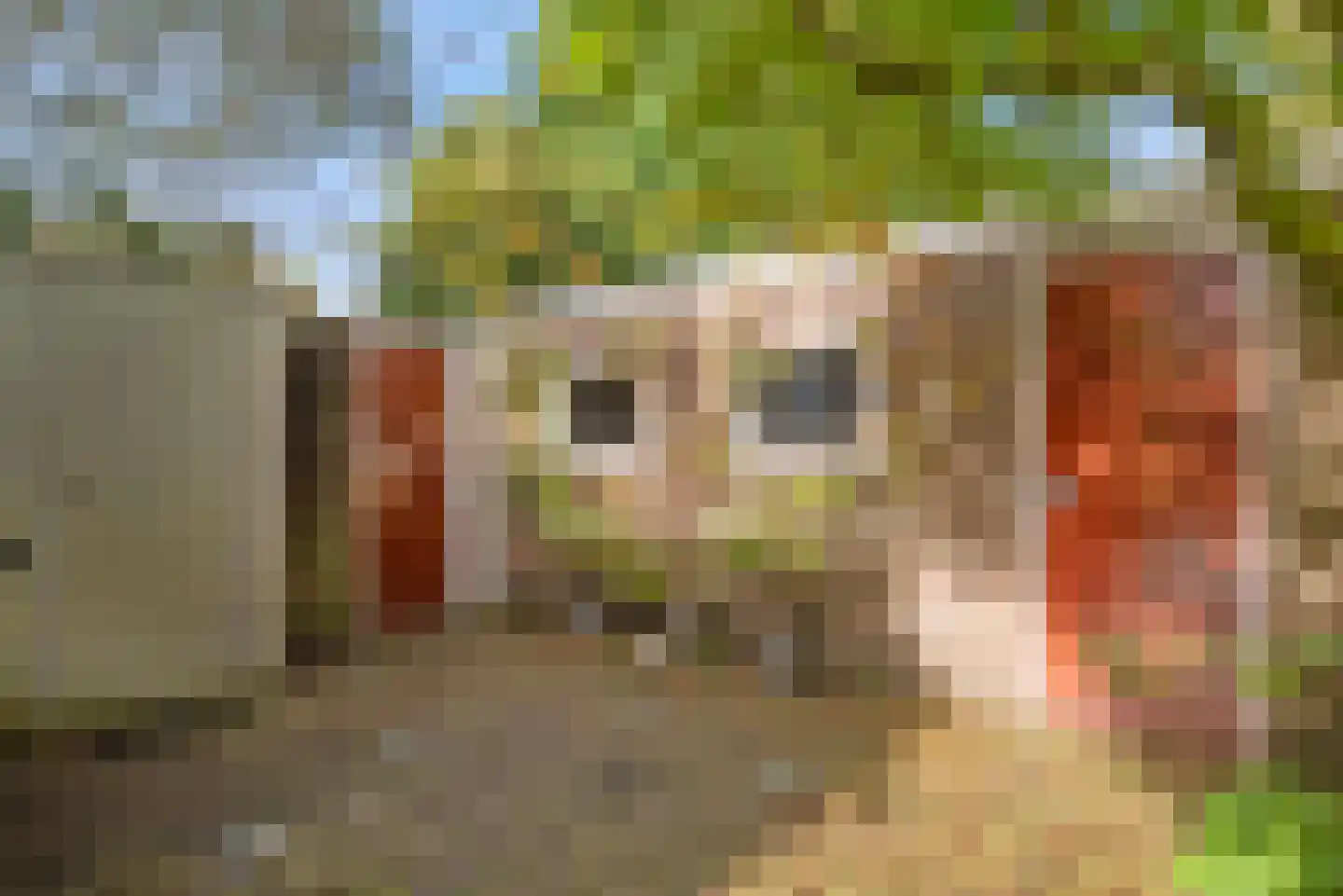 Charlotte de Bourbonlaan 17 Santpoort-Zuid thumbnail 53