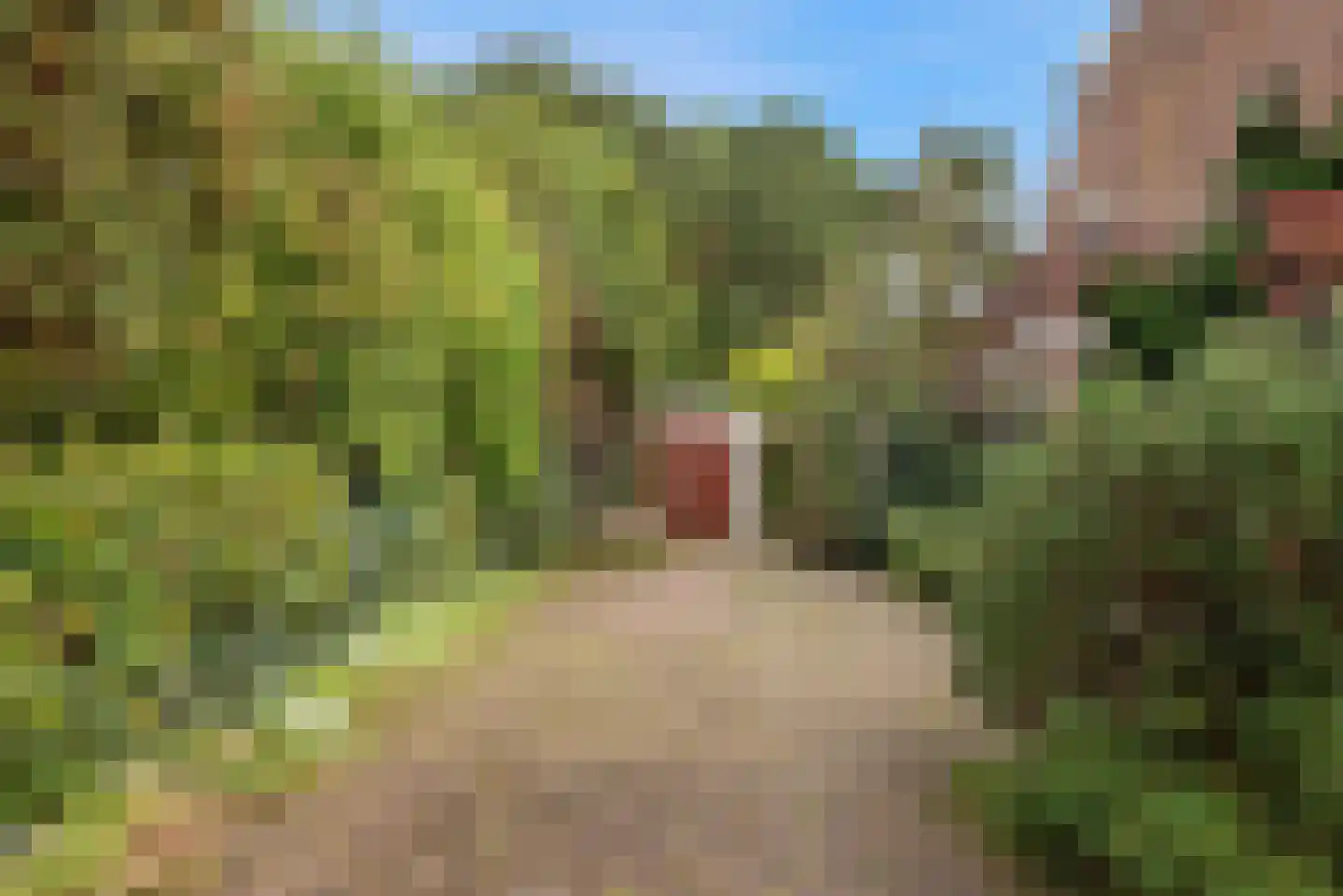 Charlotte de Bourbonlaan 17 Santpoort-Zuid thumbnail 57