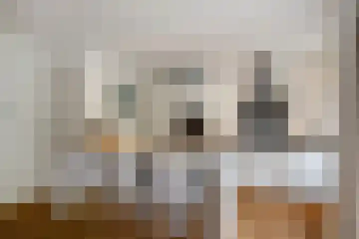 Charlotte de Bourbonlaan 21 C Rotterdam thumbnail 11