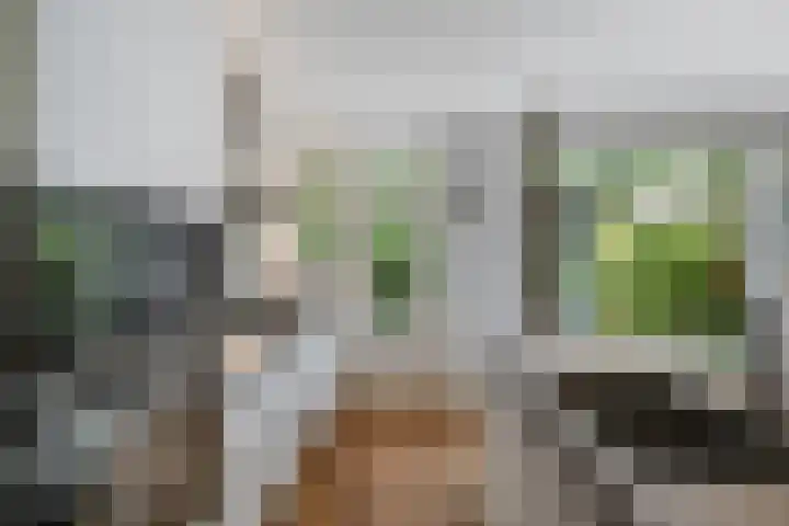 Charlotte de Bourbonlaan 21 C Rotterdam thumbnail 12