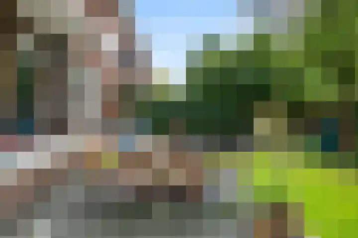 Charlotte de Bourbonlaan 21 C Rotterdam thumbnail 18