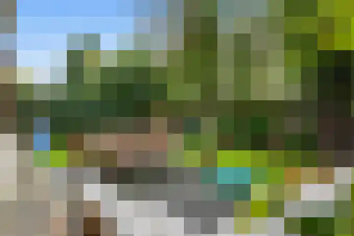 Charlotte de Bourbonlaan 21 C Rotterdam thumbnail 19