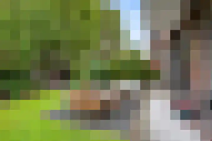 Charlotte de Bourbonlaan 21 C Rotterdam thumbnail 21