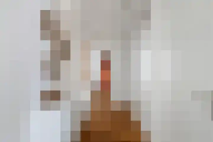 Charlotte de Bourbonlaan 21 C Rotterdam thumbnail 22