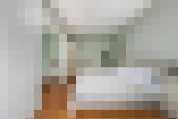 Charlotte de Bourbonlaan 21 C Rotterdam thumbnail 25
