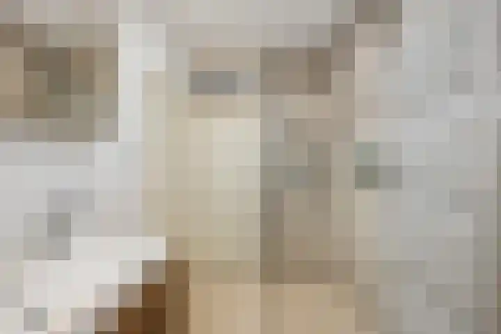 Charlotte de Bourbonlaan 21 C Rotterdam thumbnail 28