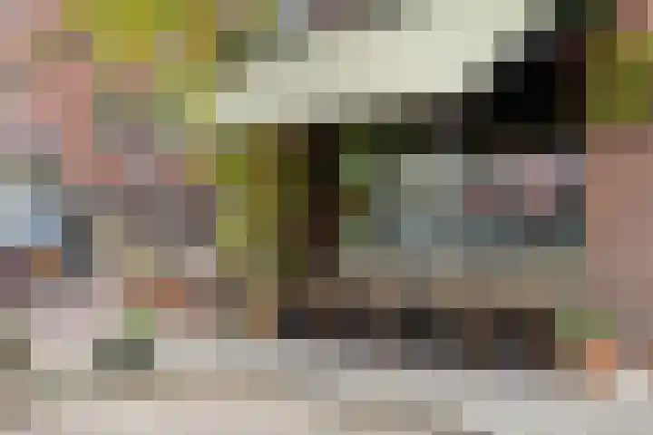 Charlotte de Bourbonlaan 21 C Rotterdam thumbnail 38