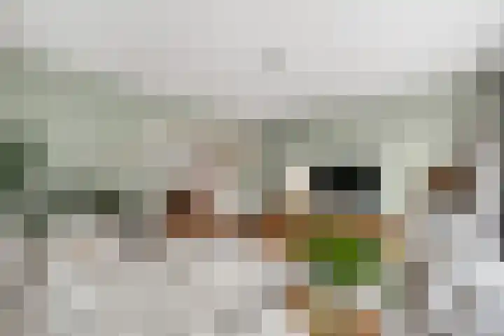 Charlotte de Bourbonlaan 21 C Rotterdam thumbnail 4