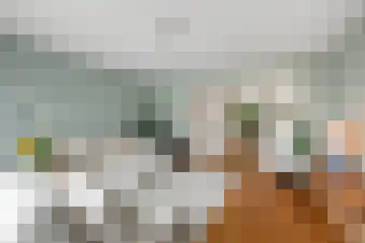 Charlotte de Bourbonlaan 21 C Rotterdam thumbnail 5