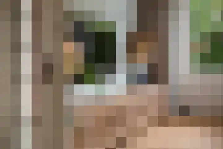 Charlotte de Bourbonlaan 21 C Rotterdam thumbnail 7