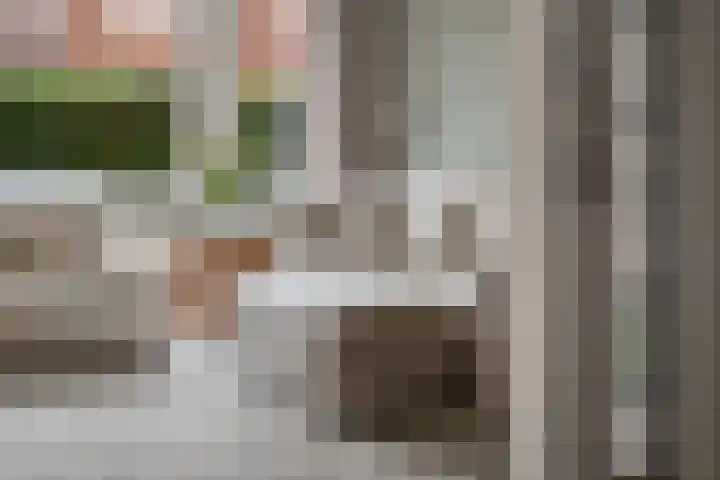 Charlotte de Bourbonlaan 21 C Rotterdam thumbnail 8