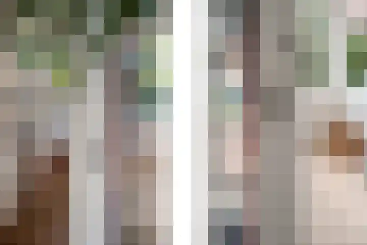 Charlotte de Bourbonlaan 21 C Rotterdam thumbnail 9