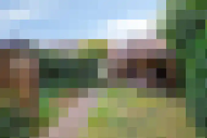 Charlotte de Bourbonlaan 26 Lochem thumbnail 23