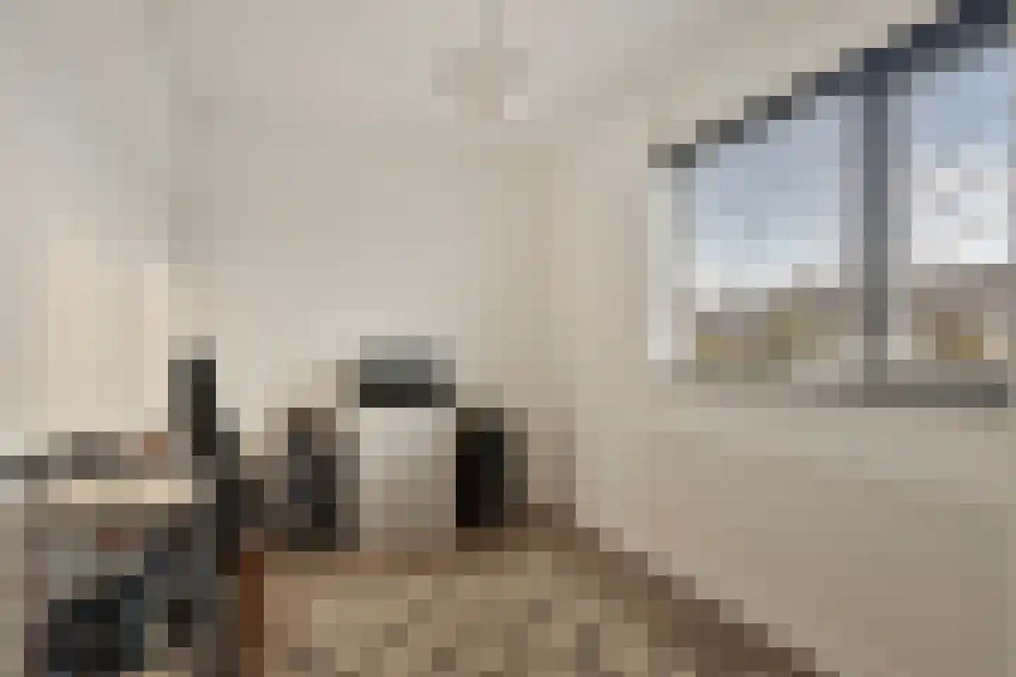 Charlotte de Bourbonlaan 26 Lochem thumbnail 27