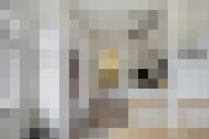 Charlotte de Bourbonlaan 26 Lochem thumbnail 7