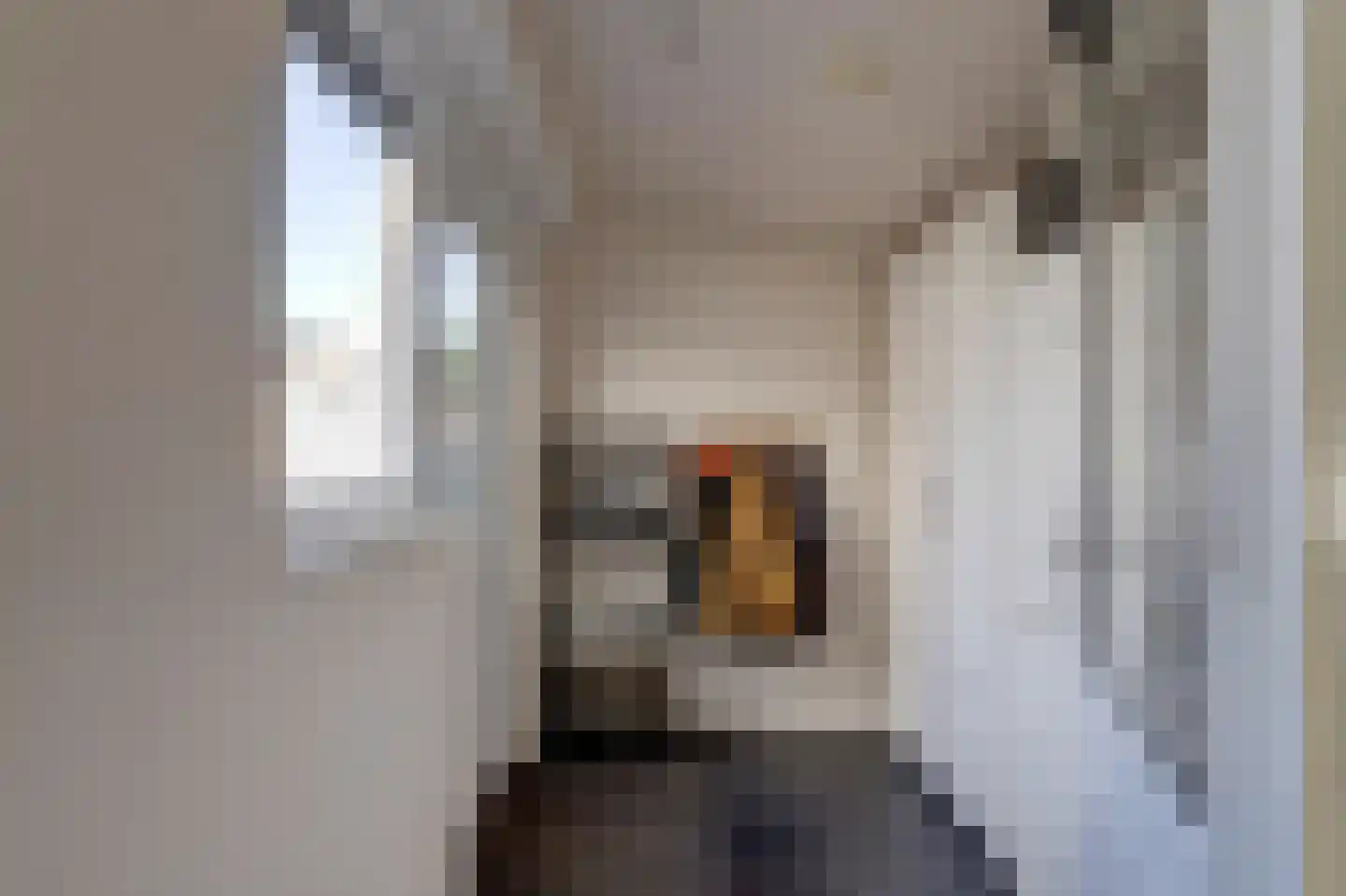 Charlotte de Bourbonlaan 27 Lochem thumbnail 11